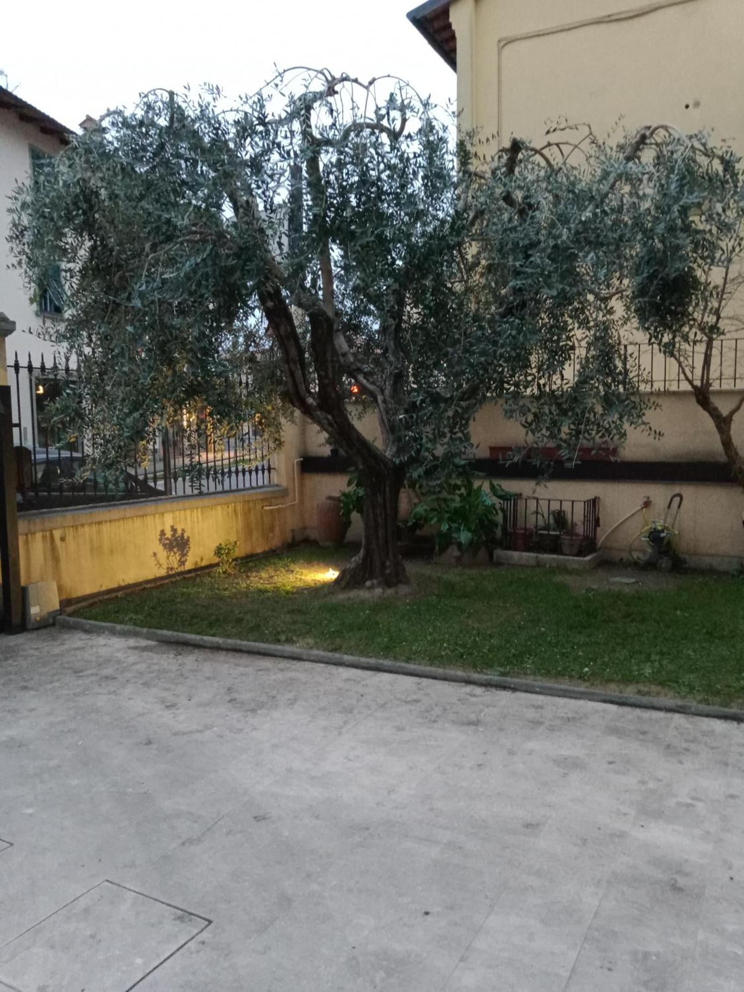 Bercos Deluxe Apartment Prato  Luaran gambar